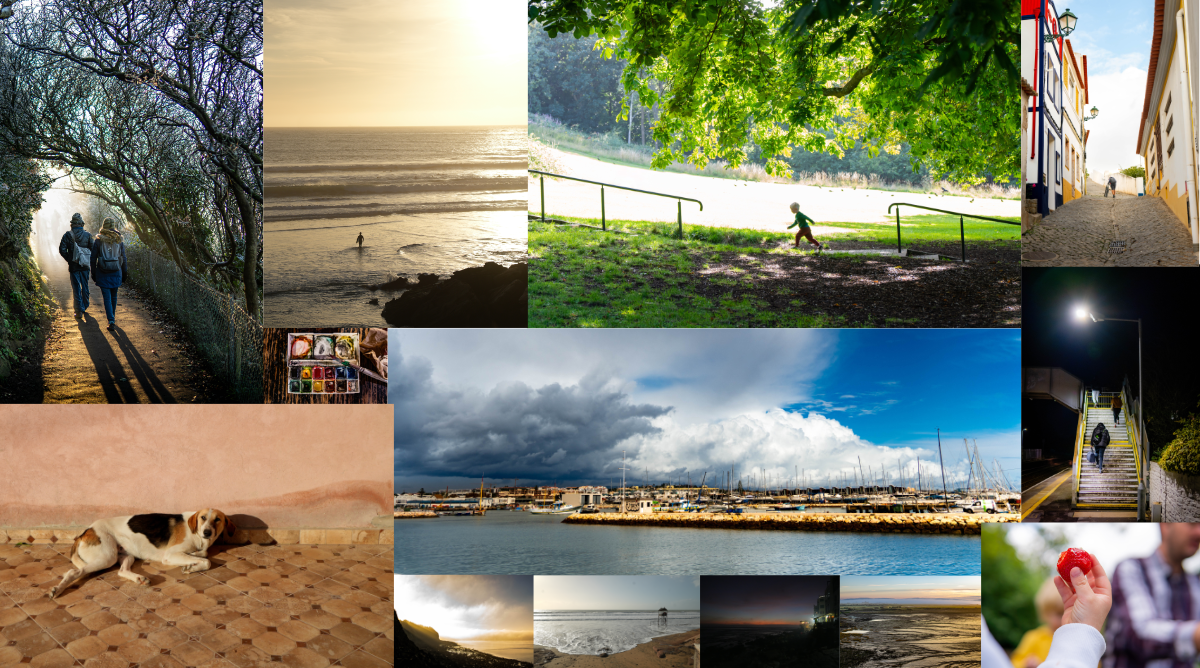 Photography by Alastair Brayne